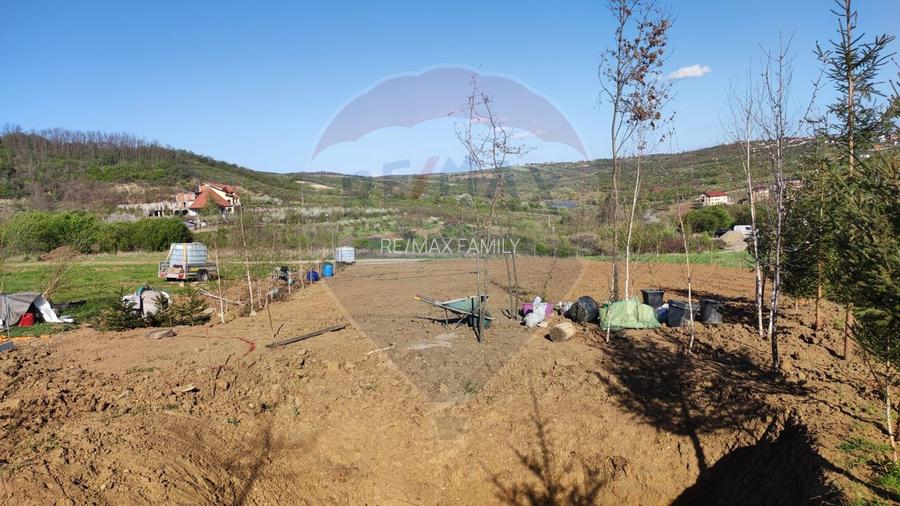 Vânzare teren intravilan 1,200mp Oradea, zona Doja - Hanul Pescarilor - 21