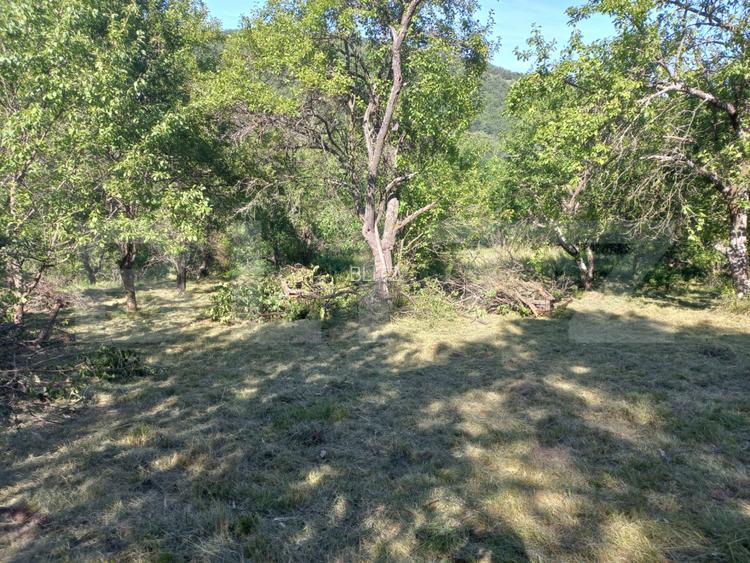 Teren intravilan 4.175 mp în Inuri – ideal cabană/casă de vacanță - 2