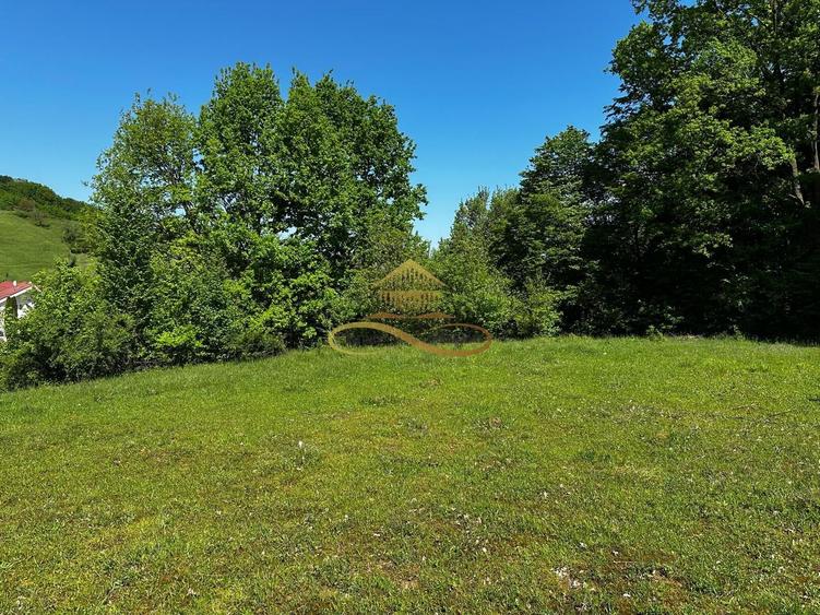 Teren intravilan de vanzare 1439 mp Luncani strada Slatinei - Bacau