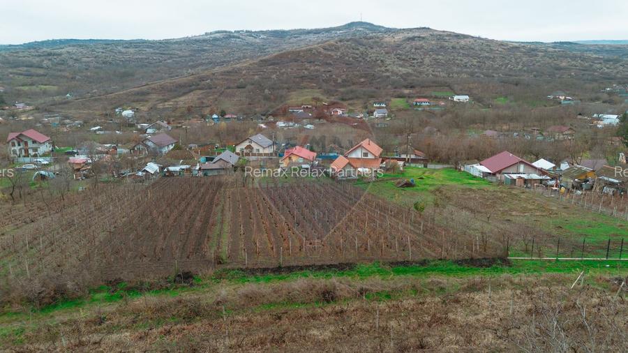 Casă de Om Gospodar - Costuleni - Grădină 2093 mp -0% Comision 0% TVA - 12