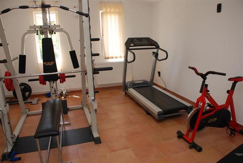 Apartament 3 camere, curte privata cu piscina in Dumbravita