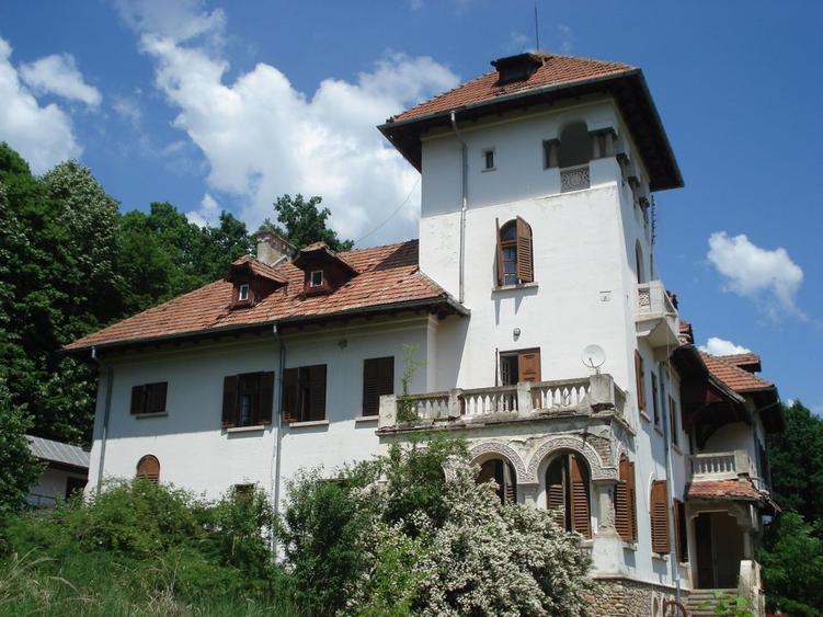 Conac istoric clasa B, 13 ha teren, valoare istorica