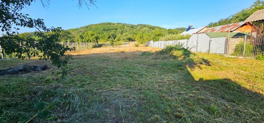 VÂNZARE MOȘIE – Sat Mitrofani, Comuna Mitrofani, jud. Vâlcea