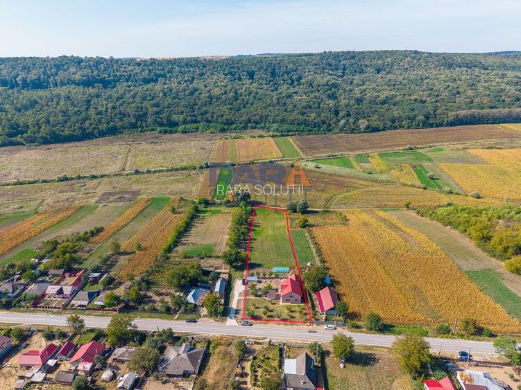 Gospodărie, casă nouă (2024), 170 mp, 6.300 mp intravilan, 0% comision - 26