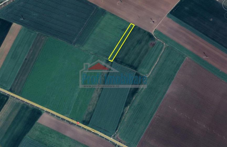 Teren extravilan in Gradiste 3500 mp