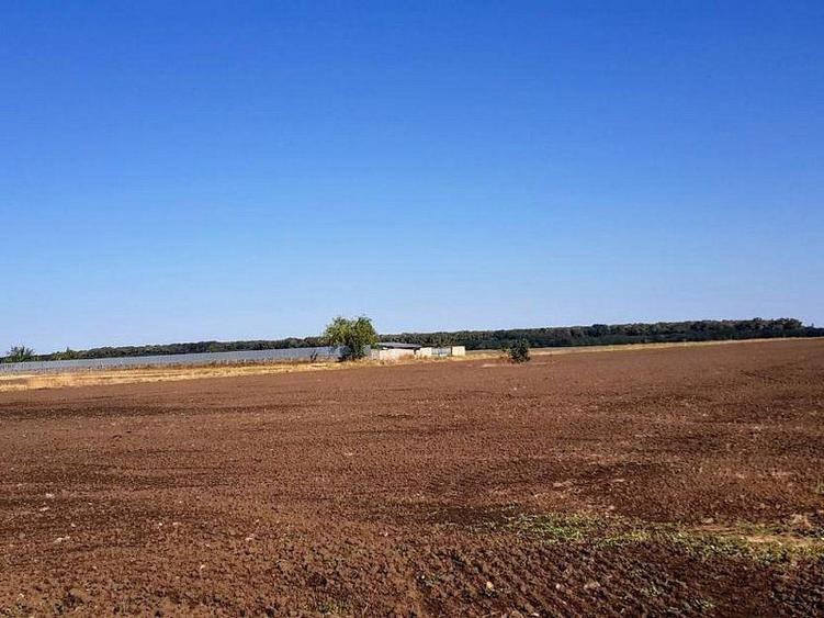 Teren intravilan de vânzare Brănești – DN3, deschidere 60 ml investie