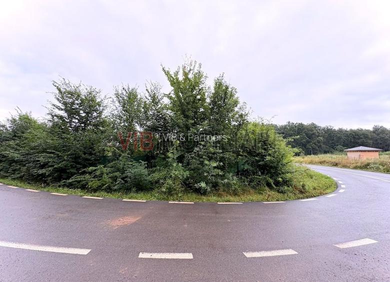 Teren cu vedere la padure – Snagov, Ghermanesti, Str. Razboieni - 4