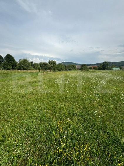 Teren Intravilan UNIREA 972mp - 2