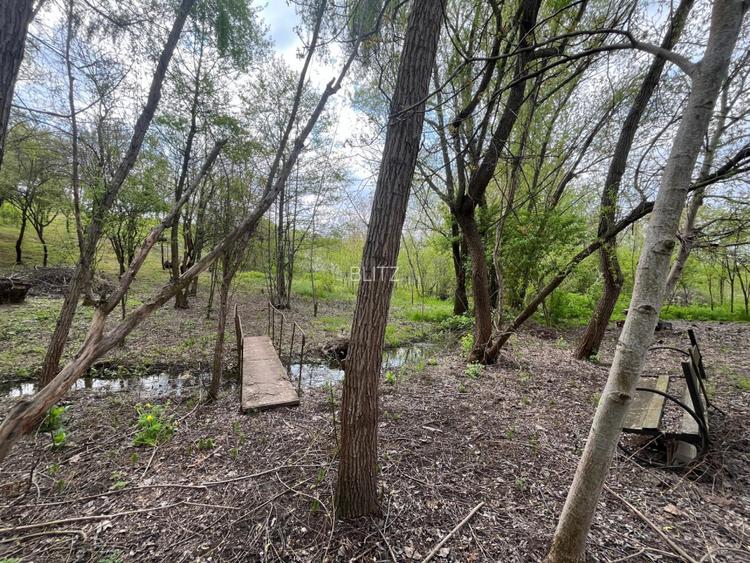 Teren 2117 mp în Malu Mare, cadru natural cu pârâu - 2