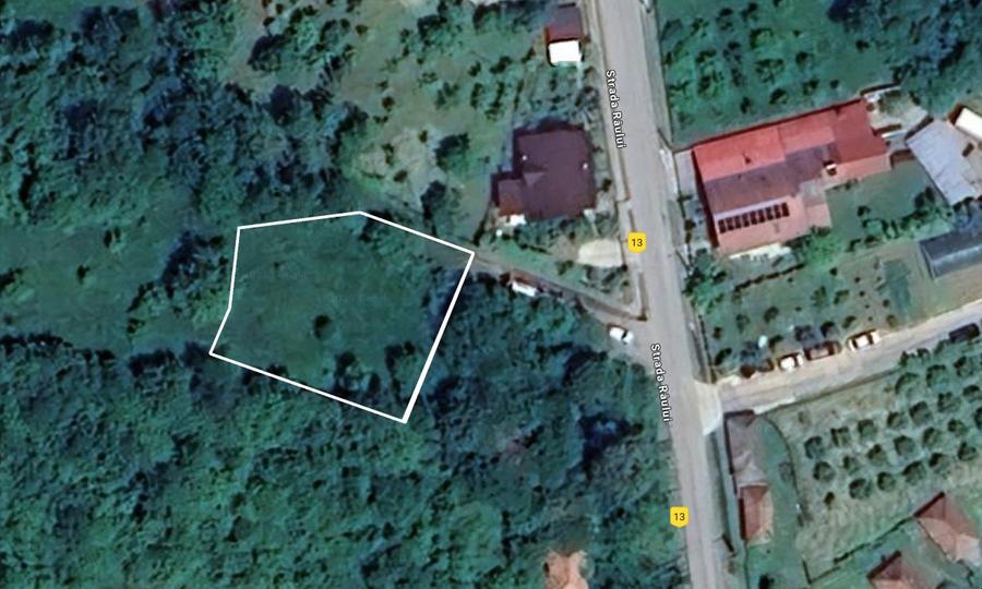 Teren Salatrucel Calimanesti intravilan cu curent 380V 3300mp