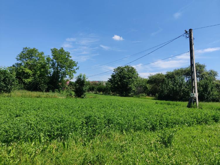 Casa la 5 km de Targu-Neamt - cu iaz si livada matura - gata pentru mutat