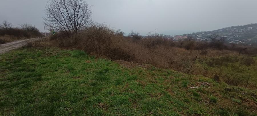 Teren Tomesti cod 161403 tel 073122666
