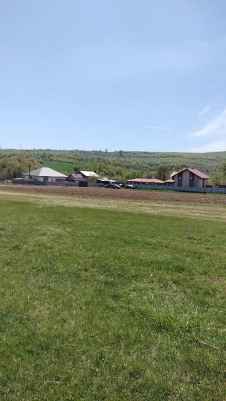 Teren extravilan 7.200 mp Bordea - Grajduri/ Oportunitate Investiție