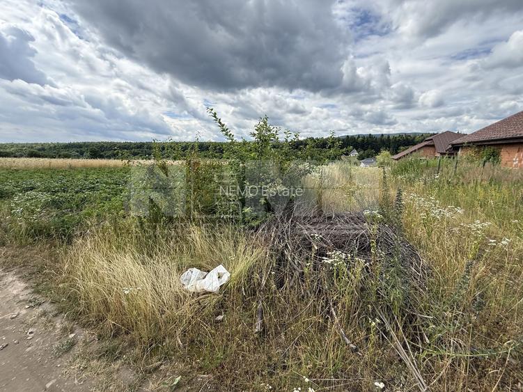 Teren intravilan | Horodnic de Sus | 1.920 mp - 8