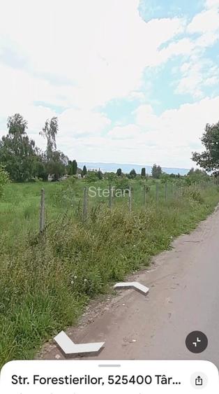De vânzare: livadă de nuci pe teren intravilan. - 7