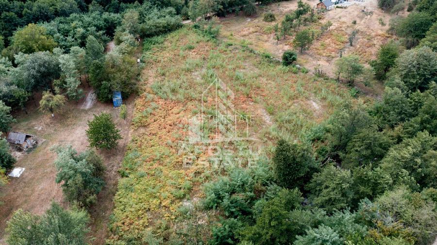 Teren de vanzare, 5000mp, cu iesire la rau, in Borlova, Muntele Mic - 2