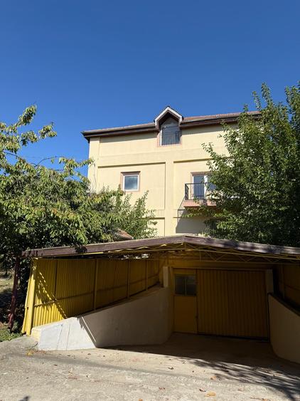 Locuinta si afacere in acelasi loc !