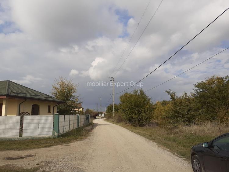 Teren intravilan inconjurat de padure, Ciofliceni, Snagov, comision 0 - 4
