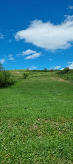 Teren zona com. Sanpaul, jud. Cluj