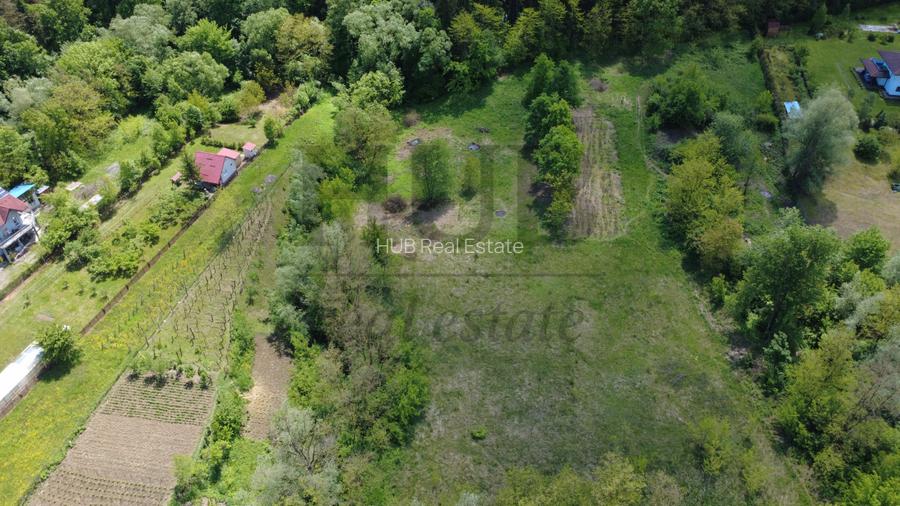 Teren intravilan | langa padure si parau | Luncani/Bacau - 7