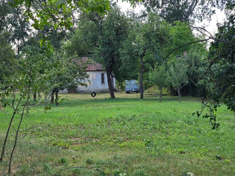 Teren 36 Ari intravilan Zona Strandului