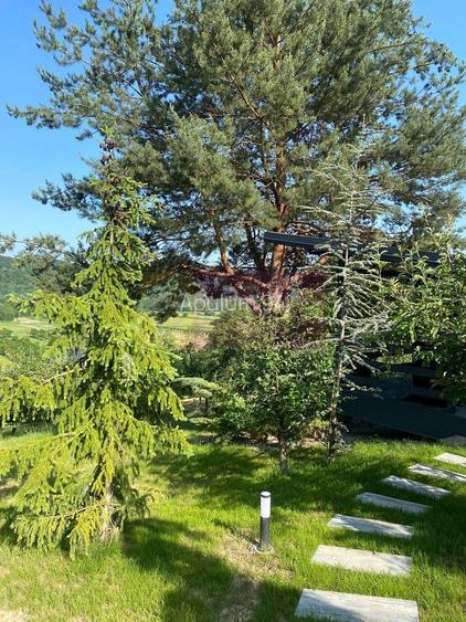 Cabane A frame + Teren 6000 mp |  Proprietate deosebita, NOU - 22