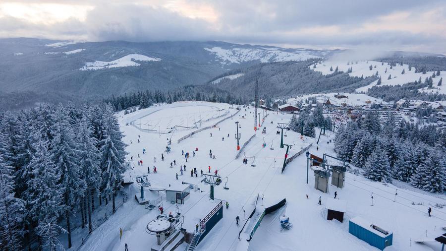 Casă montană cu 3.000 mp teren | Dorna Arini – lângă Vatra Dornei