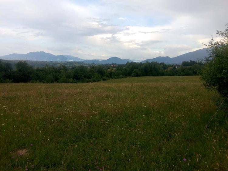 Teren parcelat in suprafata de 1100 mp, in Tohanita acces din soseaua Branului