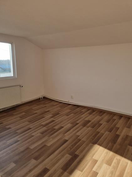 Proprietate generoasa- Casa cu 4 dormitoare si o curte mare