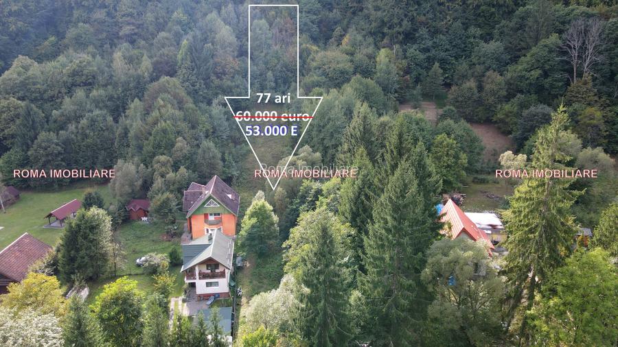 Vânzare teren – Blidari, Maramureș - 5