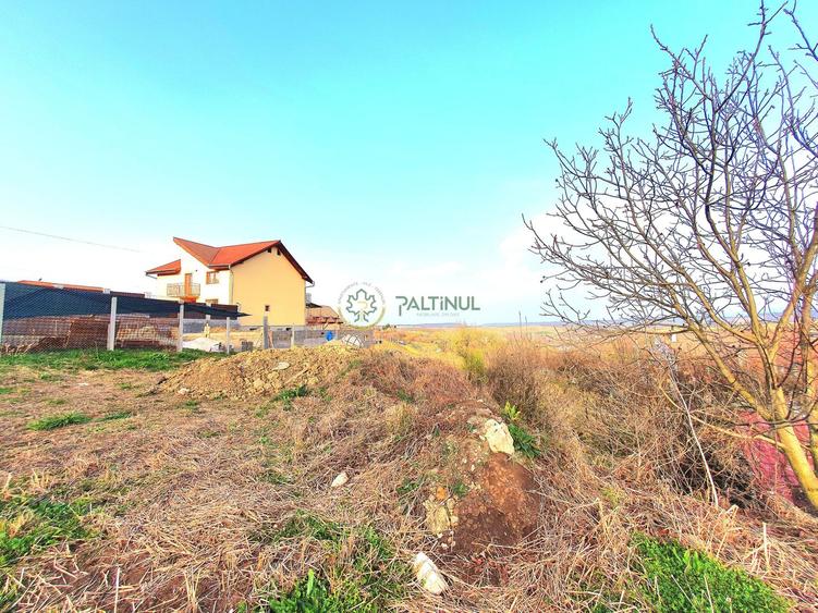 Descoperă Daia: Teren Intravilan 1000mp cu Vedere Superbă