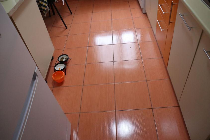 Fără Vecini Deasupra! 3 Camere Decomandate, Sector 3, Str. Ciucea