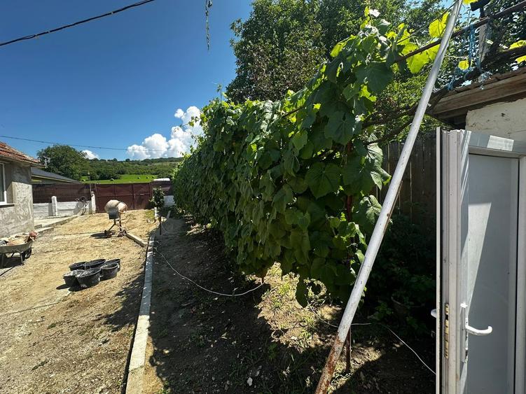 CASA INDIVIDUALA 95 MPU, TEREN 800MP-rSLIMNIC-RUSI
