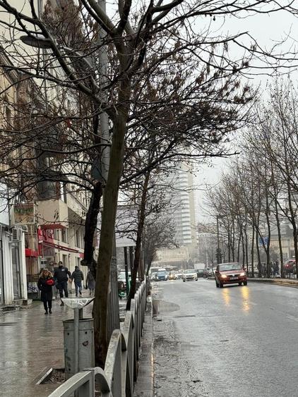 Spatiu comercial I Piata Unirii IC Bratianu I Stradal