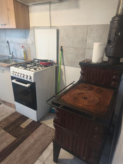 Casa de inchiriat + 5000mp teren, zona Horodnic de Jos, Radauti
