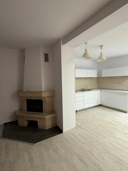 Vilă S+P+E+M cu 10 camere pentru birouri/clinica/gradinita/cresa