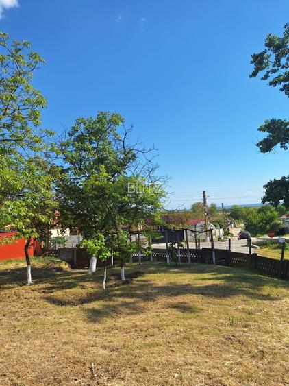 Casa de vanzare cu teren generos de 1.686 mp, Comuna Calarasi, Dolj - 17