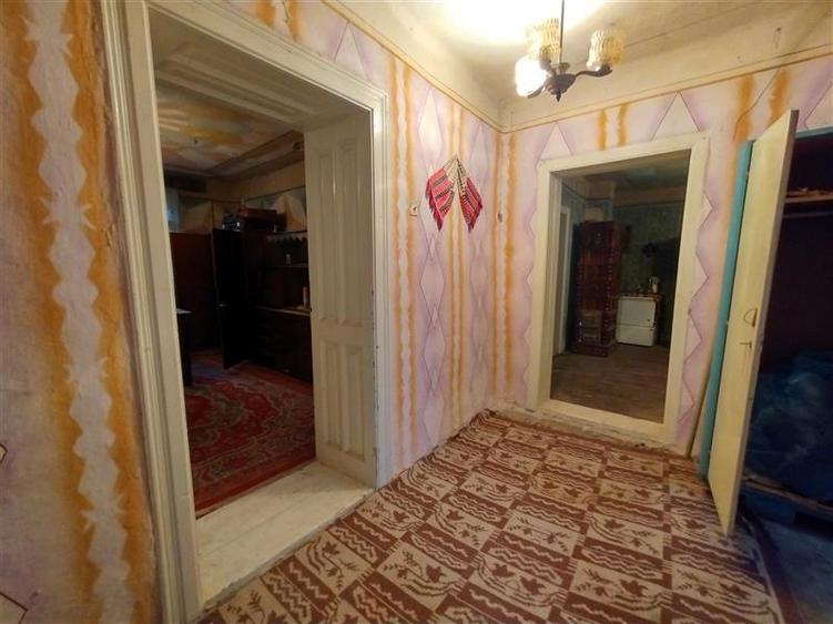 Bogodint, Casa cu 4 Hectare Teren, Pret Negociabil