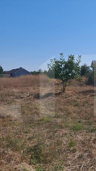 Teren 2.000 mp | Deschidere 22 m | 2 intrări | Slatina