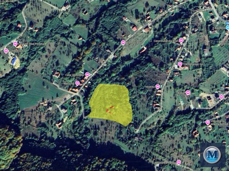 Teren intravilan de vanzare in Bran, 24000 mp #16561