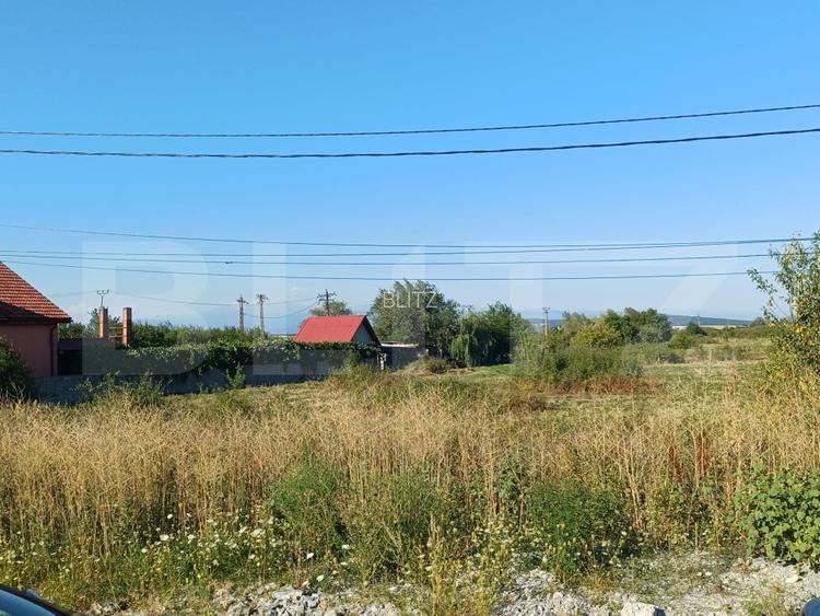 Teren intravilan si extravilan, 9500 mp, cu dublă deschidere – Ana Ipatescu - 2