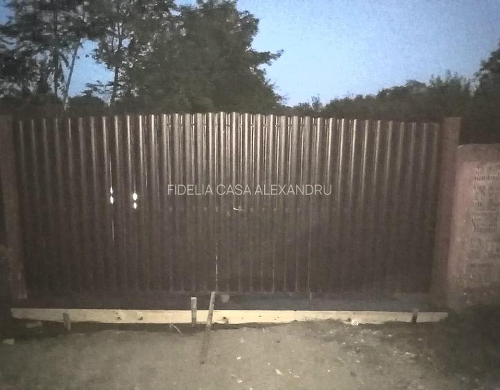 Teren pentru constructii case de vanzare Iasi Prisacani - 2