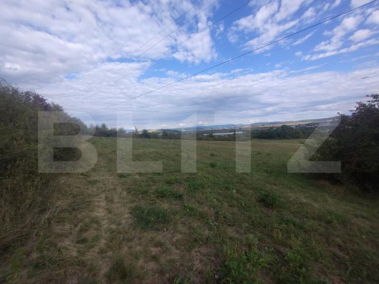 Teren extravilan in suprafata de 35 de ari, zona Beclenut, ideal cabana