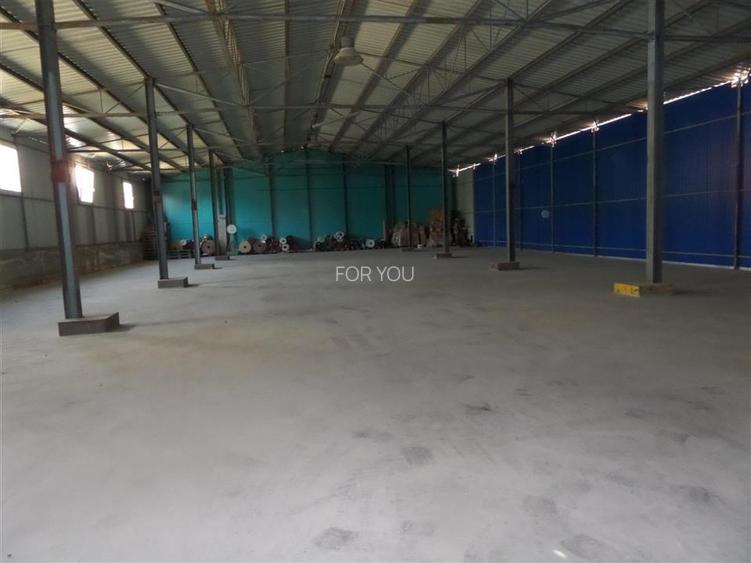 Hala Productie / Depozitare 600 mp + Teren 1000 mp – Magura (Farbe), Bacau – Acc - 2