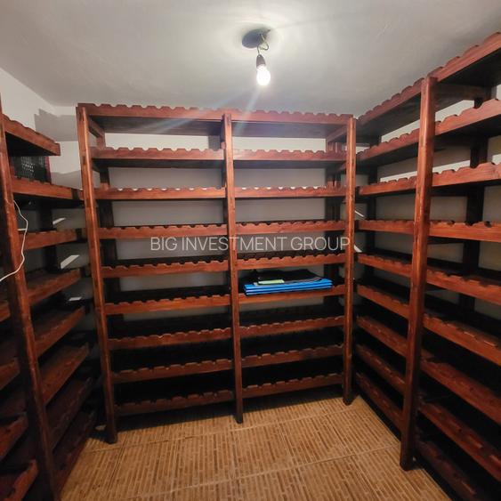 Vila lac snagov in cea mai buna portiune a lacului, ponton, garaj barca, piscina - 23