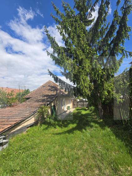 Casă țărănească în centrul localității Ilieni – teren 832 mp. - 6