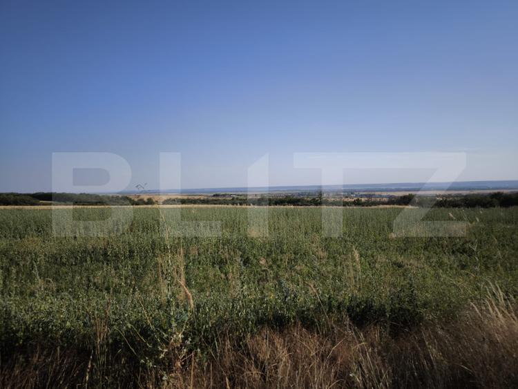 Teren 30.350 mp (600 mp intravilan) – ideal investiție, Cârcea Metro