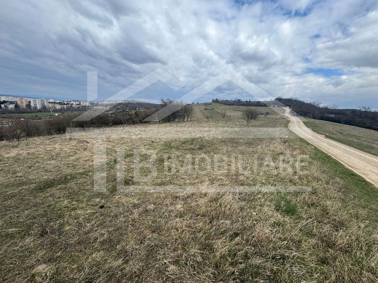 Teren, 786 mp, intravilan, Zona Viile 1 Mai