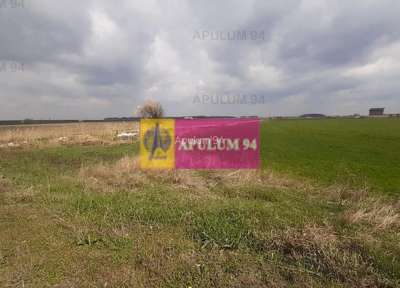 Teren Intravilan  cu front stradal la un Drum Principal langa București - 39