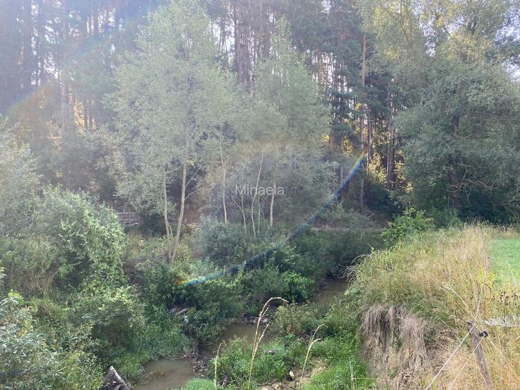 Teren intravilan in Barcani la 49 km de Brasov - 4